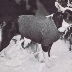 Knitted Dog Coat Pattern